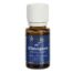 essential-oil-wintergreen